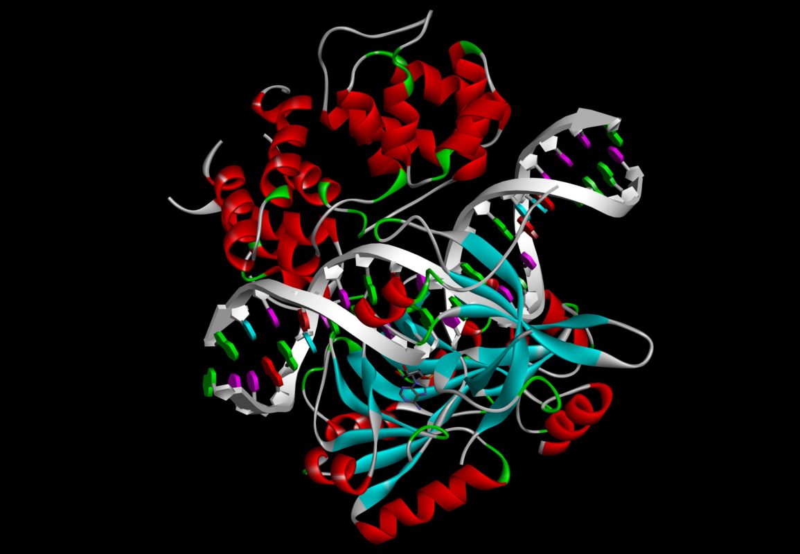 株式会社 Studio Makyu / スタジオマキュ