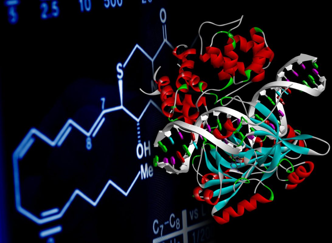 株式会社 Studio Makyu / スタジオマキュ